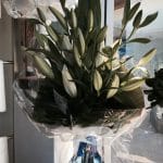 Large bouquet of lillies - Wedding Flowers Bundaberg, QLD